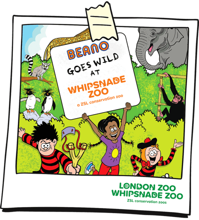 WHIPSNADE ZOOOO_v2